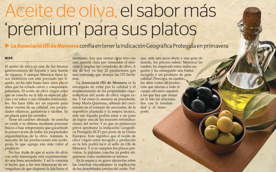 Oli d’oliva, el sabor més premium pels teus plats